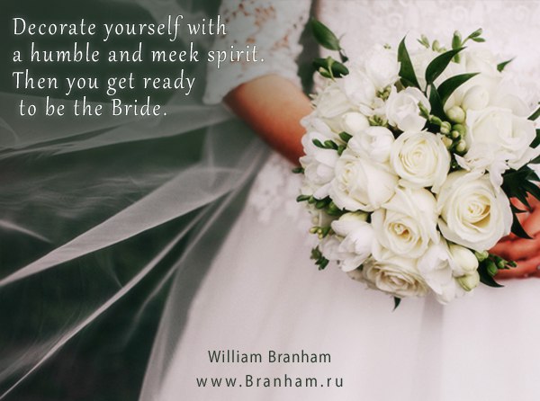 Картинка цитаты