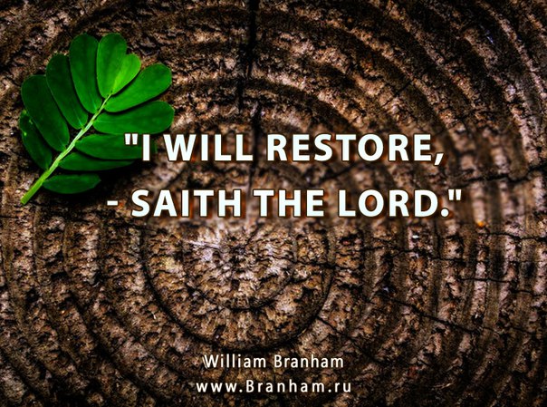 Картинка цитаты