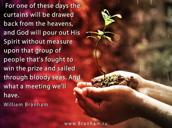 Картинка цитаты