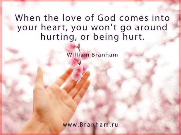 Картинка цитаты