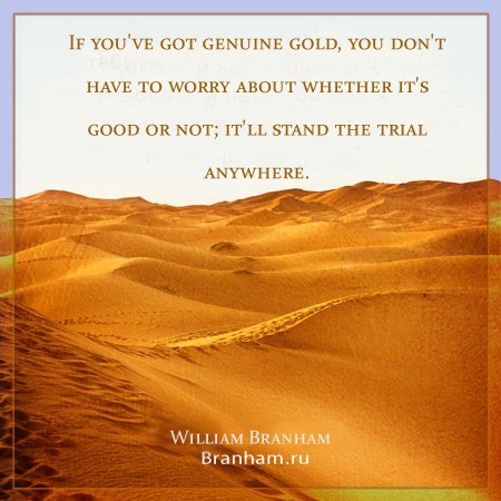 Картинка цитаты