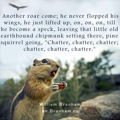 Картинка цитаты