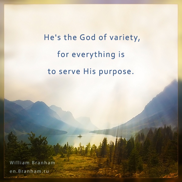 Картинка цитаты