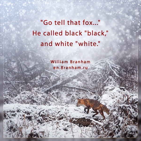 Картинка цитаты