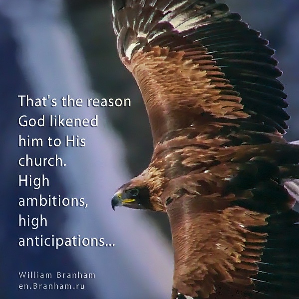 Картинка цитаты