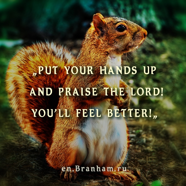 Картинка цитаты