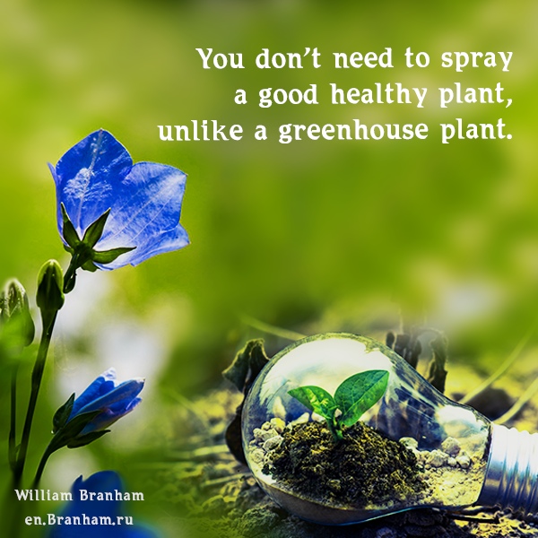 Картинка цитаты