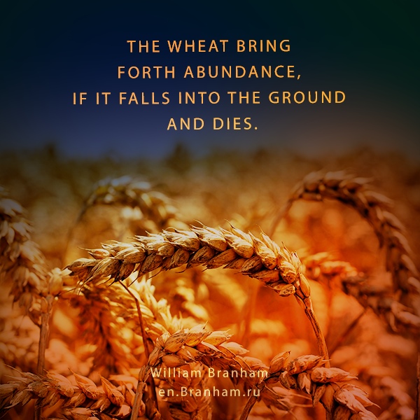 Картинка цитаты