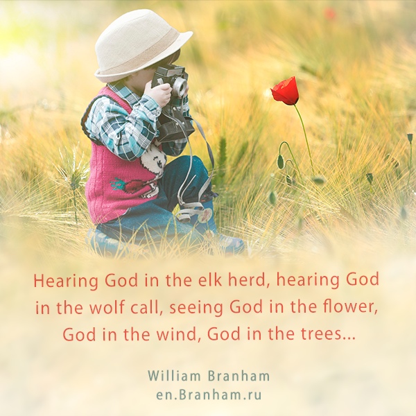 Картинка цитаты