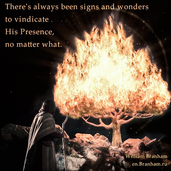 Картинка цитаты