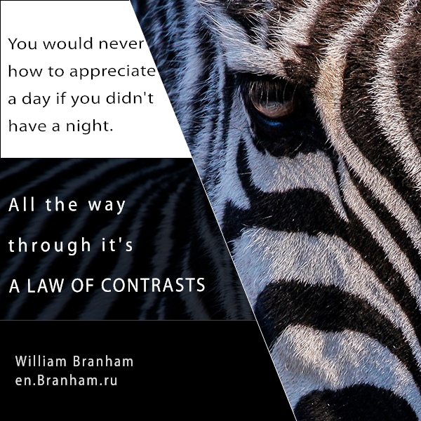 Картинка цитаты