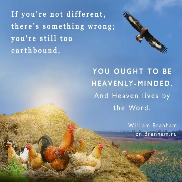 Картинка цитаты