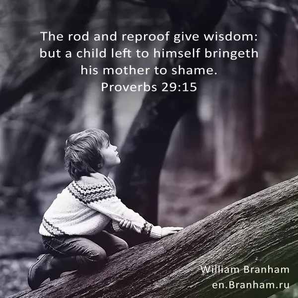 Картинка цитаты