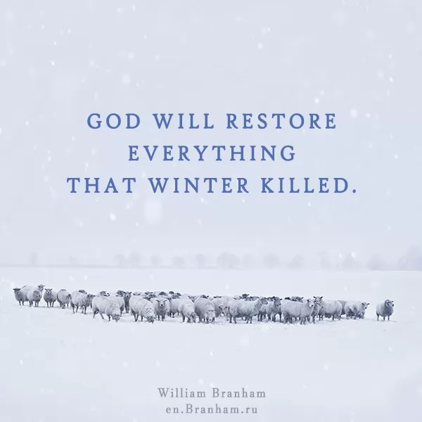 Картинка цитаты