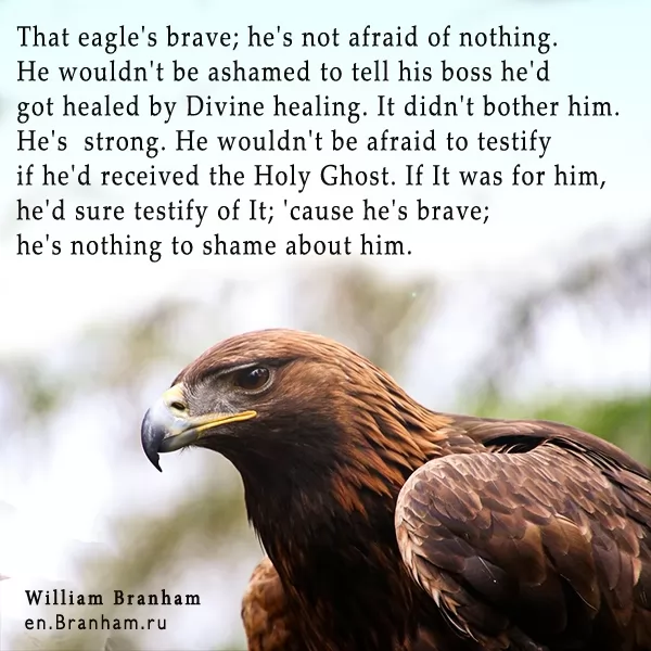 Картинка цитаты