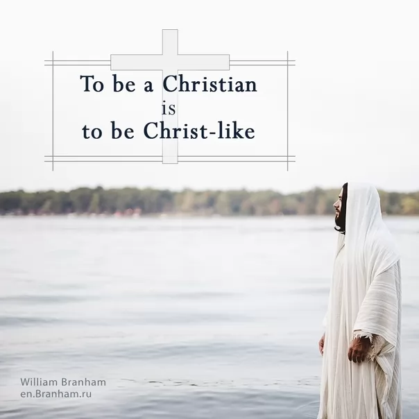 Картинка цитаты