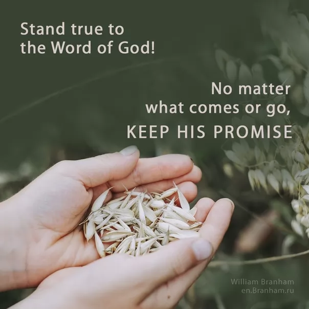 Картинка цитаты