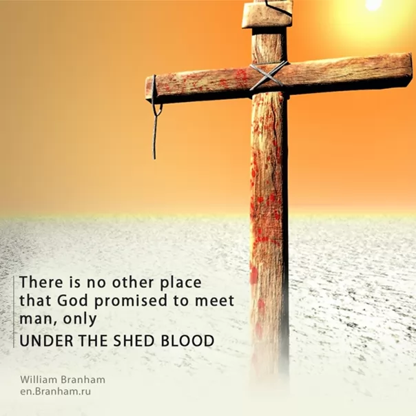 Картинка цитаты