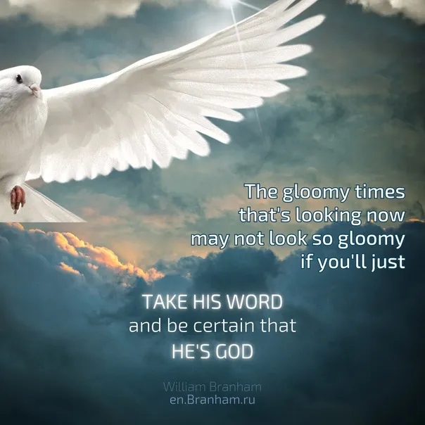 Картинка цитаты