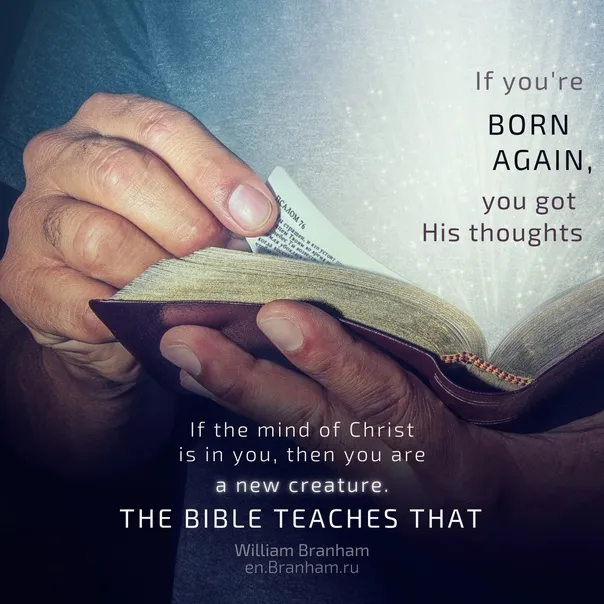 Картинка цитаты