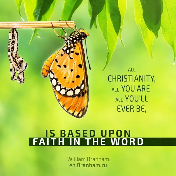 Картинка цитаты