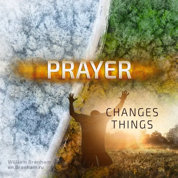 Картинка цитаты