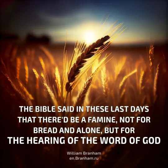 Картинка цитаты