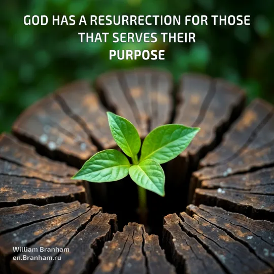 Картинка цитаты