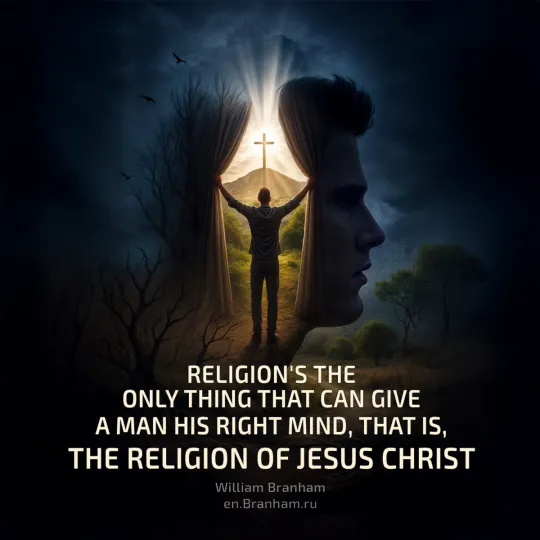 Картинка цитаты