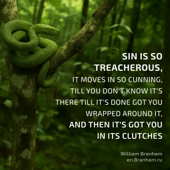 Картинка цитаты