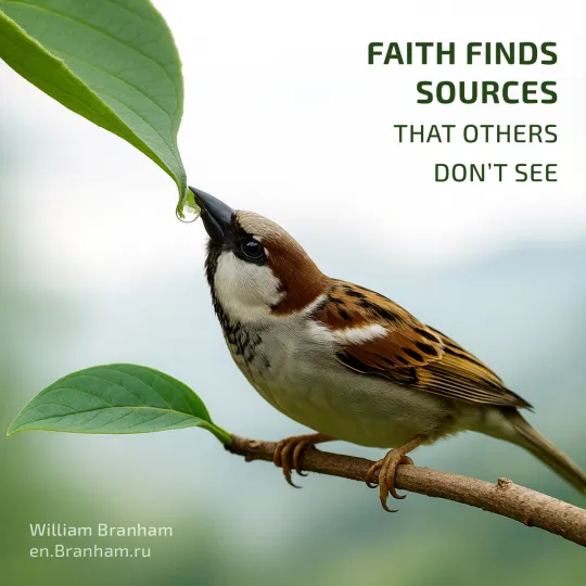 Картинка цитаты