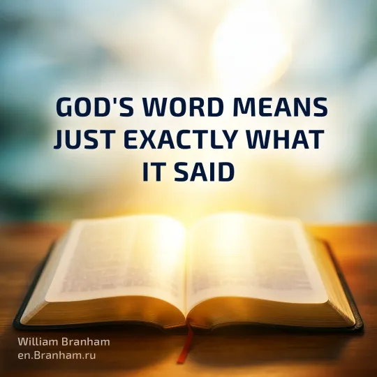 Картинка цитаты